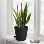 8 Inch Self Watering pots for Indoor, 6 Pack Plastic Plant Pots with Drainage Holes, Black - Image 3