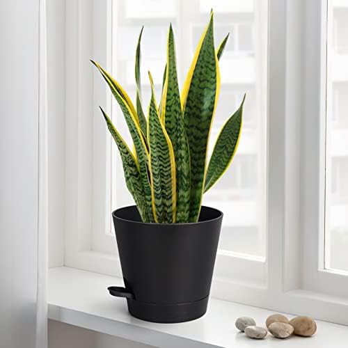 8 Inch Self Watering pots for Indoor, 6 Pack Plastic Plant Pots with Drainage Holes, Black - Image 3