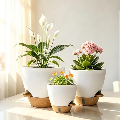 4-Pack Large Self Watering Pots for Indoor Plants, 12/10/9/8 Inch Planters with Visible Water Level Window, Automatic Watering System for Monstera, Fiddle Leaf, Herbs, Succulents, White - Image 7