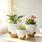4-Pack Large Self Watering Pots for Indoor Plants, 12/10/9/8 Inch Planters with Visible Water Level Window, Automatic Watering System for Monstera, Fiddle Leaf, Herbs, Succulents, White - Image 7