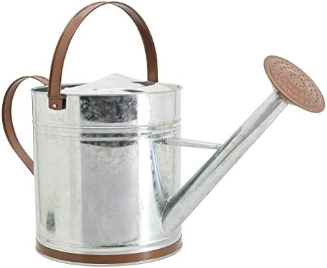 Arcadia Garden Products WC14 Classic Shiny Galvanized Metal Watering Can, Easy-Pour, Indoor and Outdoor, 2.6 gal - Image 2