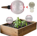 Automatic Plant Watering Globes 500ML Top Fill Drip Irrigation (Pink, 1pc) - Image 2