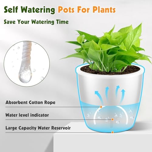 Self-Watering Pots for Indoor Plants, 8-Pack Self Watering Planter with Drainage Holes, Small African Violet Pots with Water Indicator, 5 Packs 5''/3 Pack 6.7'' Orchid Pot, White - Image 5