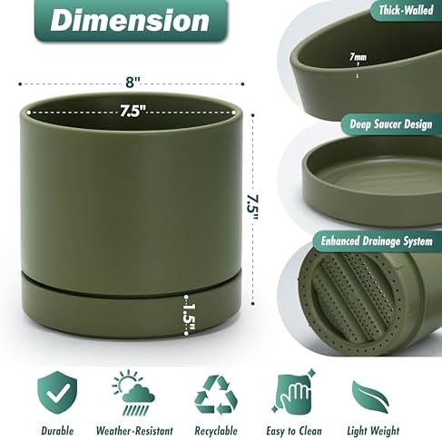 Phoenix Vine 8 Inch Planter Pot with Drainage Hole & Saucer, Deep Water Catch Tray, Straight Cylindrical Round Pot for Plants, Olive, Pack of 1, 23-D-T-1 - Image 3