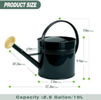 LONGRUN 2.5 Gallon Dark Green Metal Watering Can for Plants and Garden with Removable Spout, Made of Galvanized Iron - Image 2