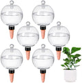 6 Pack 26 oz Extra Large Plant Self Watering Globes Top Fill by MUDEREK