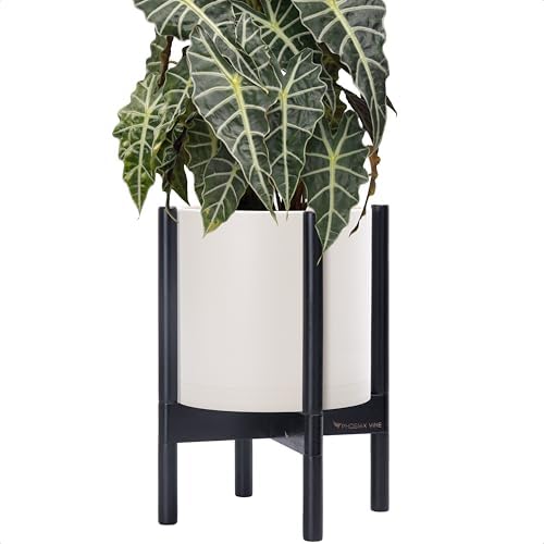 D'vine Dev Plastic Pot with Ebony Wood Stand, Oatmeal, 10 in, 55-C-N-4 by DvineDevPlanterPotsandStand