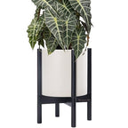 D'vine Dev Plastic Pot with Ebony Wood Stand, Oatmeal, 10 in, 55-C-N-4 by DvineDevPlanterPotsandStand