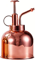 Vintage Plant Watering Bottle 300ml with Pump Stainless Steel by HEMOTON