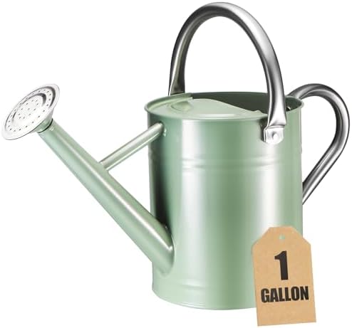 1 Gallon Watering Can for Outdoor&Indoor Plants by Shopwithgreen