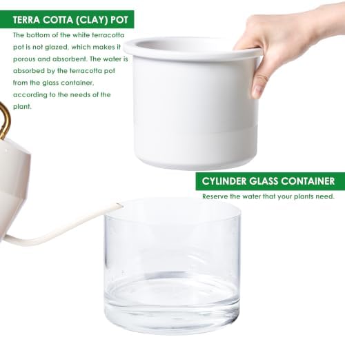 Phoenix Vine 6 Inch Self Watering Planter, Design White Terracotta Pot for Plants, Indoor Cylinder Terra Cotta Pot with Glass Vase, Set of 1, 51-B-F-1 - Image 6