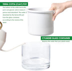 Phoenix Vine 6 Inch Self Watering Planter, Design White Terracotta Pot for Plants, Indoor Cylinder Terra Cotta Pot with Glass Vase, Set of 1, 51-B-F-1 - Image 6