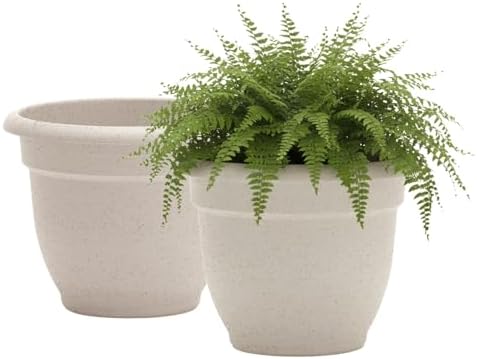 Bloem Ariana 16" Plastic Self-Watering Planter, Vanilla Bean, 2-Pack by Bloem