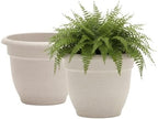 Bloem Ariana 16" Plastic Self-Watering Planter, Vanilla Bean, 2-Pack by Bloem