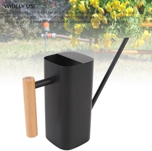 Stainless Steel Watering Can, Cute Indoor Metal Plant Watering Can with Long Spout for Houseplants, Bonsai and Outdoor Gardening (Black 800ML) - Image 3