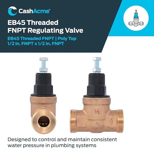 Cash Acme EB45 Pressure Regulating Valve, 1/2 Inch NPT Threaded, Poly Top, 60 PSI, PVA08P-DTH-60 - Image 2