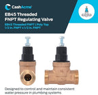 Cash Acme EB45 Pressure Regulating Valve, 1/2 Inch NPT Threaded, Poly Top, 60 PSI, PVA08P-DTH-60 - Image 2