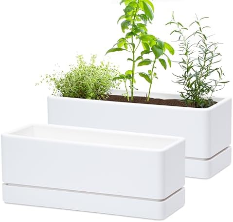 D'vine Dev 2-Pack Rectangular Planters, 12 x 4.5 in, White, 76-X-A-2 by DvineDevPlanterPotsandStand