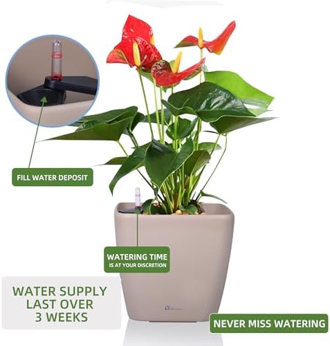 Dexceder 9x8 Self Watering Planter (Taupe Matte) - Image 5