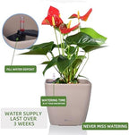 Dexceder 11x10 Self Watering Planter (Taupe Matte) - Image 5