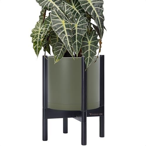 D'vine Dev Plastic Pot with Ebony Wood Stand, Olive, 10 in, 55-C-N-3 by DvineDevPlanterPotsandStand