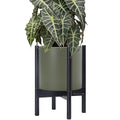 D'vine Dev Plastic Pot with Ebony Wood Stand, Olive, 10 in, 55-C-N-3 by DvineDevPlanterPotsandStand