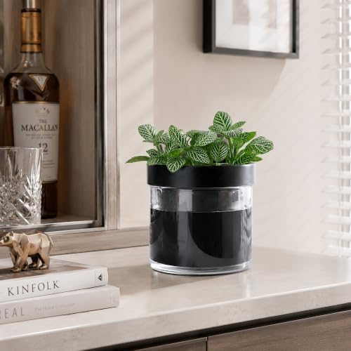 Phoenix Vine 4 Inch Self Watering Planter Pot, Black Terracotta Clay Pot with Glass Reservoir for Indoor Plants, Herbs, Flowers, Set of 4, 52-C-E-4 - Image 4