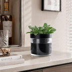 Phoenix Vine 4 Inch Self Watering Planter Pot, Black Terracotta Clay Pot with Glass Reservoir for Indoor Plants, Herbs, Flowers, Set of 4, 52-C-E-4 - Image 4