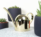 Stainless Steel Watering Kettle 500ml for Succulents and Flowers - Image 2