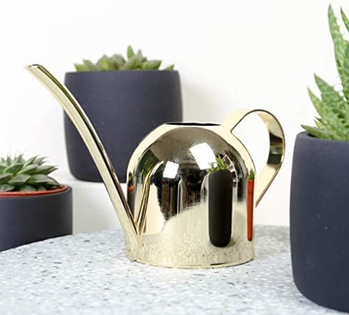 Stainless Steel Watering Kettle 500ml for Succulents and Flowers - Image 2