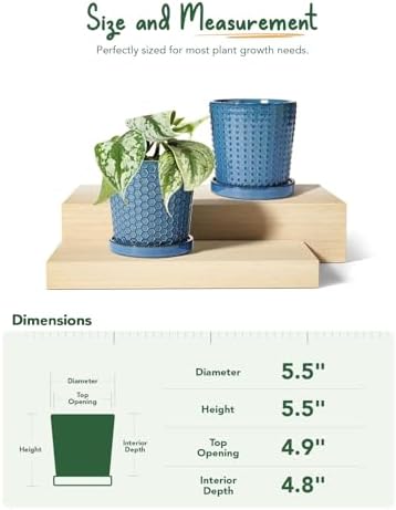 LE TAUCI Ceramic Pots for Plants, 5.5 Inch Plant Pots with Drainage and Saucer, Indoor Plant Pots for Succulents, Snake Plants, Cactus, and More, Set of 2, Reactive Glaze Blue - Image 5