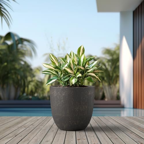 Kante Large Round Bowl Vintage BRN Concrete Planter 18" Dia, Outdoor - Image 3