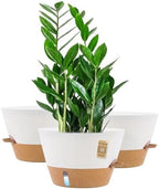 12 Inch Self Watering Pot with Visual Water Window, Drainage Holes & Watering Lip, Set of 3 Large Plastic Planters for Indoor Outdoor Plants, Modern Decorative Flower Pot (White) by FIASON