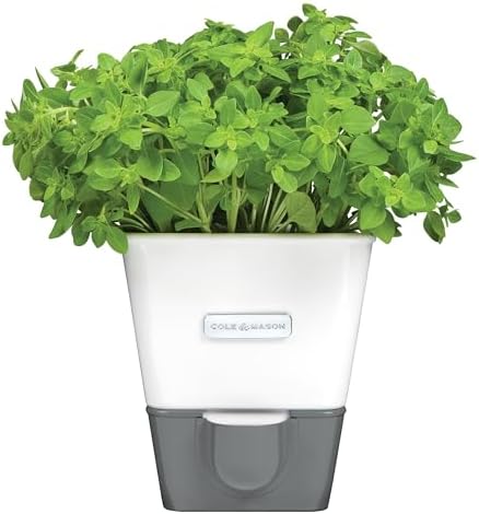 Cole & Mason Self-Water Herb Keeper - Potted Herb Saver with Hydro Pad & Pour Spout - Fresh Herb Keeper for Refrigerator - Herb Storage & Container by Unknown