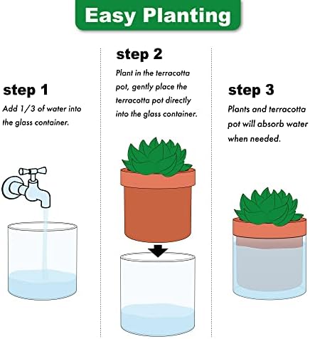 Phoenix Vine 4 Inch Self Watering Planter Pot, Terracotta Clay Pot with Glass Reservoir for Indoor Plants, Herbs, Flowers, Set of 4, 52-A-E-4 - Image 6