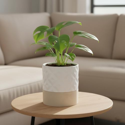 Nihow Ceramic Self Watering Plant Pot for Indoor Plants, 6 Inch,Cream White - Image 4