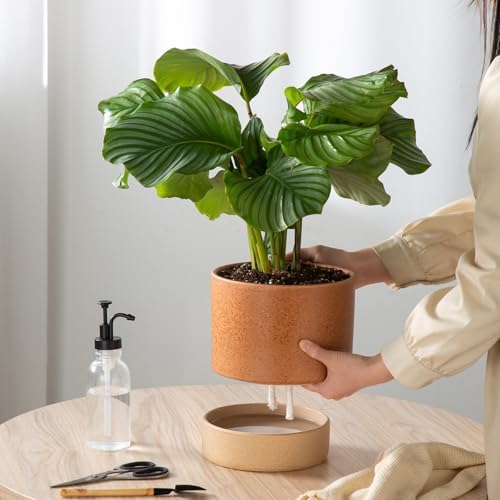 8 Inch Ceramic Self Watering Planter with Drainage Hole Terracotta - Image 3
