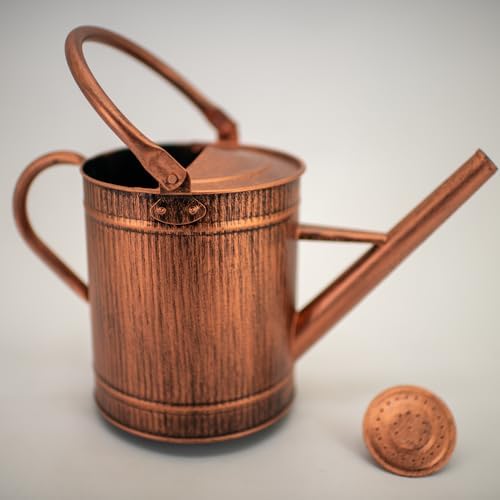 1 Gallon Copper Metal Watering Can, Removable Spout - Image 2