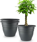 RooTrimmer 3 Pack Large 16 Inch Plastic Plant Pots for Outdoor Plants,Durable & Lightweight Flower Pots with Drainage Holes,Weather-Resistant Large Planters for Patio Garden(Gray) by RooTrimmer