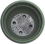 Bloem Ariana 6" Plastic Self-Watering Planter, Basil, 4-Pack - Image 6