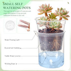 30 Pcak 2.2'' Small Self Watering Planters for Indoor Plants Mini Clear Pots with Water Level Indicator Plastic Automatic-Watering Pot with Drainage Holes for Semi-hydroponic African Violet - Image 4