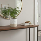 Nihow Ceramic Self Watering Plant Pot for Indoor Plants, 6 Inch,Cream White - Image 5