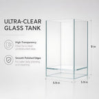Desktop Glass Plant Terrarium with Grow Light (5.9" x 5.9" x 9") & Bamboo Base, Enclosure Kit with Watering Bottle for Carnivorous Plants, Venus Flytrap, Moss & Betta Fish, Home Office Decor - Image 6