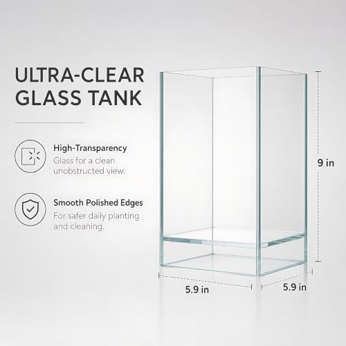Desktop Glass Plant Terrarium with Grow Light (5.9" x 5.9" x 9") & Bamboo Base, Enclosure Kit with Watering Bottle for Carnivorous Plants, Venus Flytrap, Moss & Betta Fish, Home Office Decor - Image 6