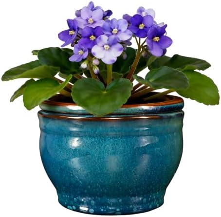 Self Watering Pot for African Violets Indoor Outdoor Plants, 6 inch, Teal by SanmudecorGarden