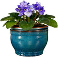 Self Watering Pot for African Violets Indoor Outdoor Plants, 6 inch, Teal by SanmudecorGarden