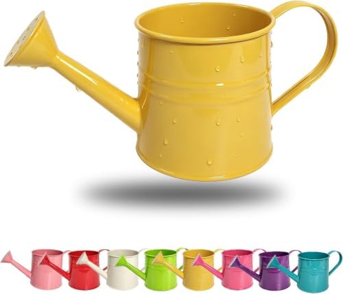 Green 1l Small Watering Can – Retro Metal,Sprinkler Head,Spray Spout for Indoor Plants,Kids,Outdoor Flowers & House by Unknown
