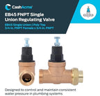 Cash Acme EB45 Pressure Regulating Valve, Single Union, 3/4 Inch NPT Female x NPT Female, Poly Top, 60 PSI, PVA16P-SUTH-60 - Image 2
