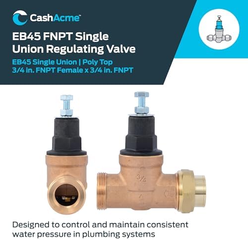 Cash Acme EB45 Pressure Regulating Valve, Single Union, 3/4 Inch NPT Female x NPT Female, Poly Top, 60 PSI, PVA16P-SUTH-60 - Image 2
