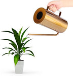 1.5L/50.7oz Watering Can with Long Spout, Stainless Steel Indoor Planter by Tissting